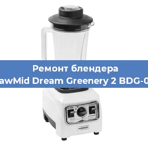 Замена щеток на блендере RawMid Dream Greenery 2 BDG-03 в Челябинске